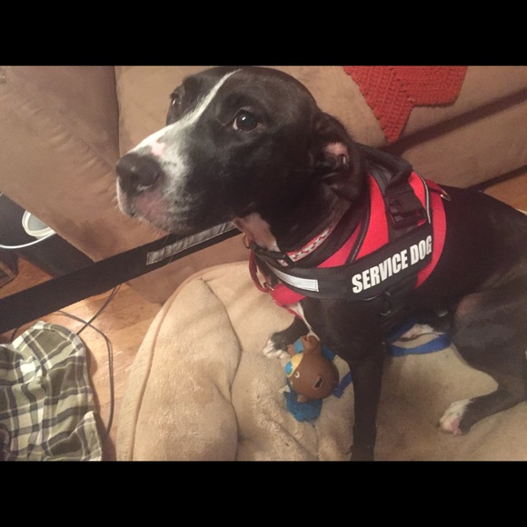 Meet your Posher, Melissa - Picture 2 of 8